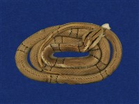 藏品(紅竹蛇)的圖片